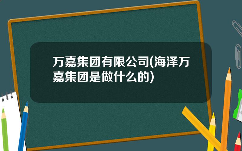 万嘉集团有限公司(海泽万嘉集团是做什么的)