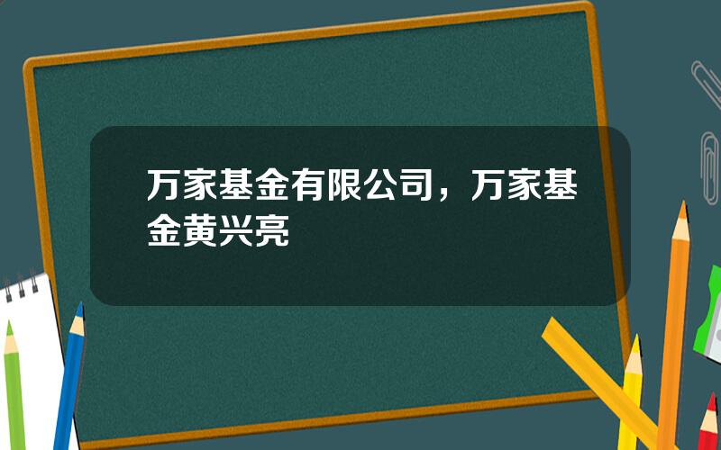 万家基金有限公司，万家基金黄兴亮