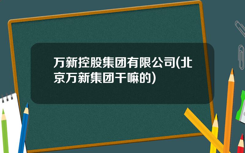 万新控股集团有限公司(北京万新集团干嘛的)