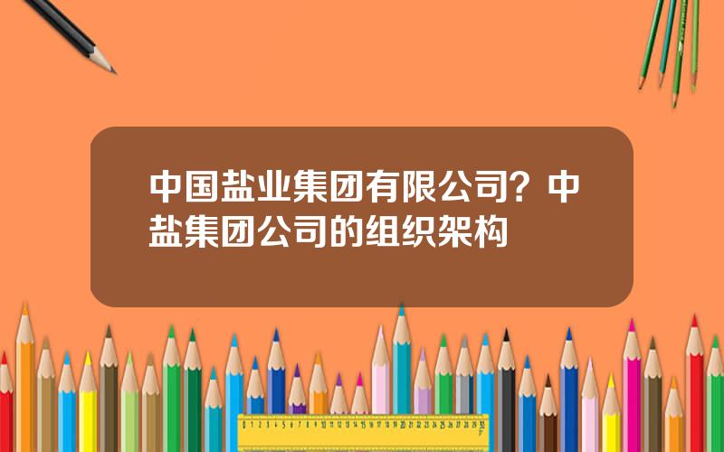 中国盐业集团有限公司？中盐集团公司的组织架构