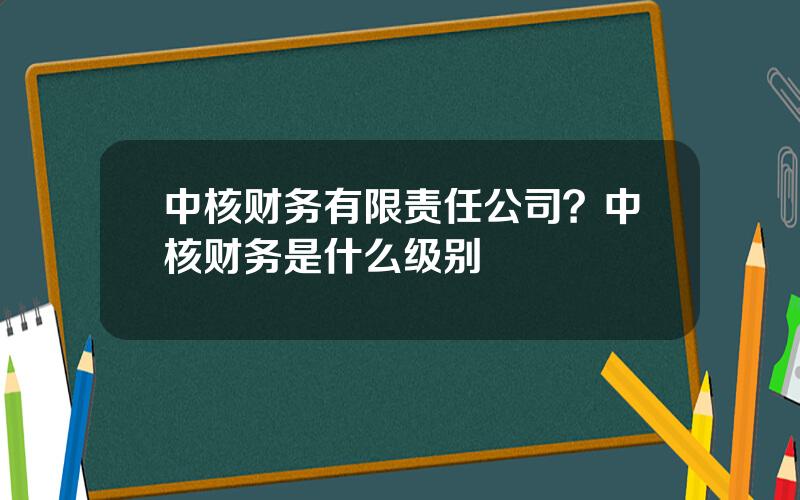 中核财务有限责任公司？中核财务是什么级别