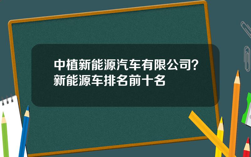 中植新能源汽车有限公司？新能源车排名前十名