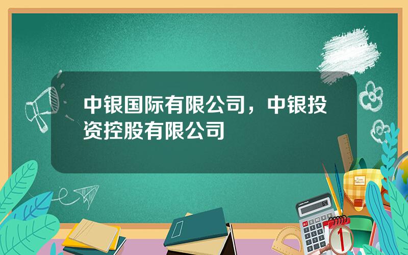 中银国际有限公司，中银投资控股有限公司