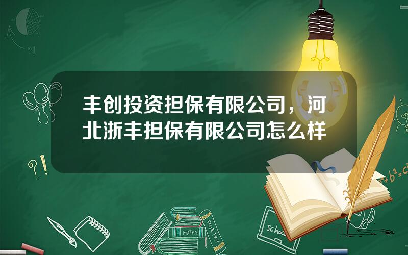 丰创投资担保有限公司，河北浙丰担保有限公司怎么样