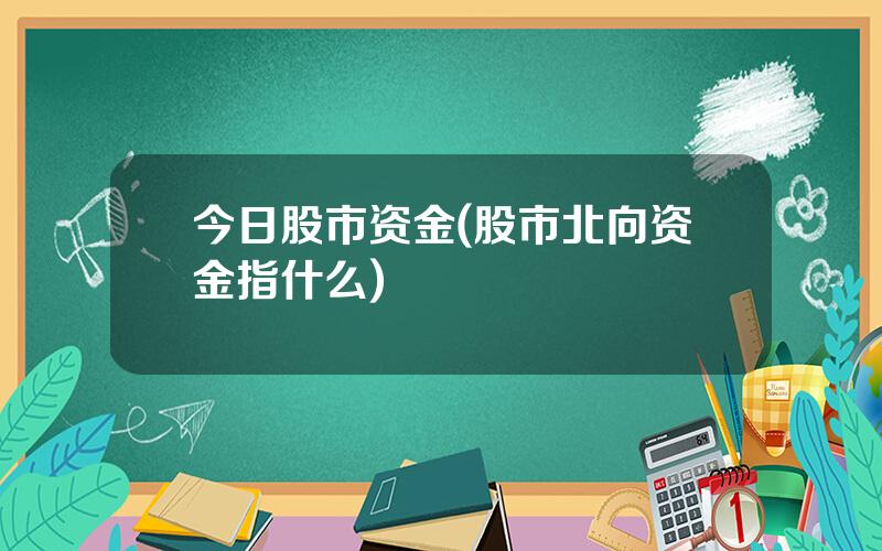 今日股市资金(股市北向资金指什么)