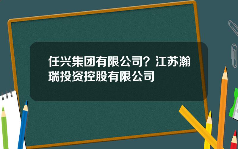 任兴集团有限公司？江苏瀚瑞投资控股有限公司