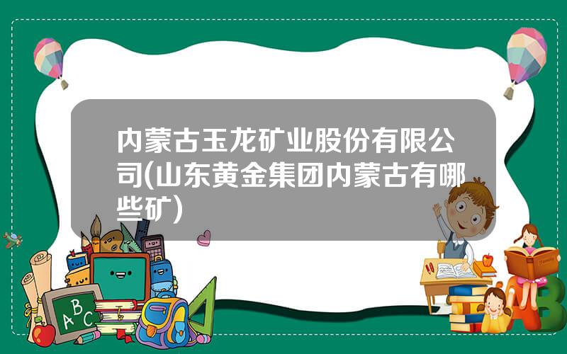 内蒙古玉龙矿业股份有限公司(山东黄金集团内蒙古有哪些矿)