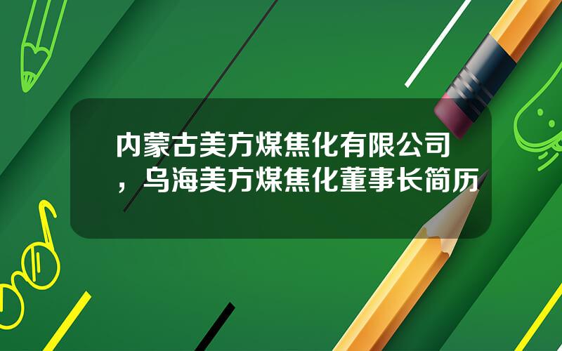 内蒙古美方煤焦化有限公司，乌海美方煤焦化董事长简历