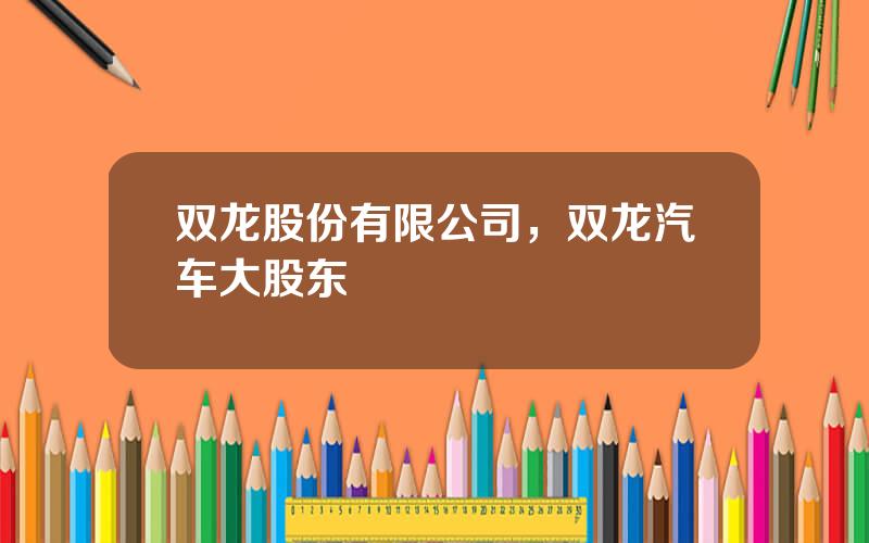 双龙股份有限公司，双龙汽车大股东