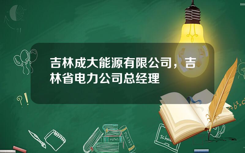 吉林成大能源有限公司，吉林省电力公司总经理