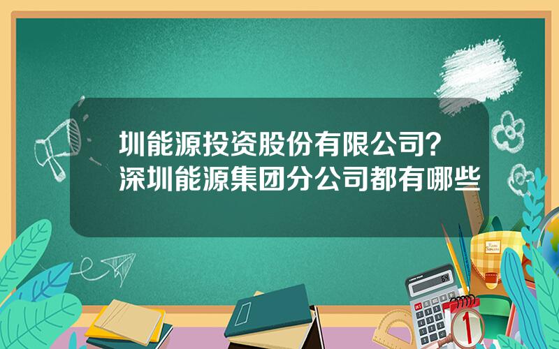 圳能源投资股份有限公司？深圳能源集团分公司都有哪些