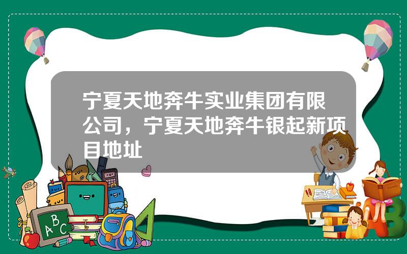 宁夏天地奔牛实业集团有限公司，宁夏天地奔牛银起新项目地址