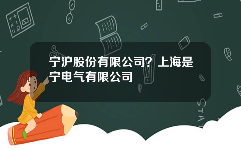 宁沪股份有限公司？上海是宁电气有限公司